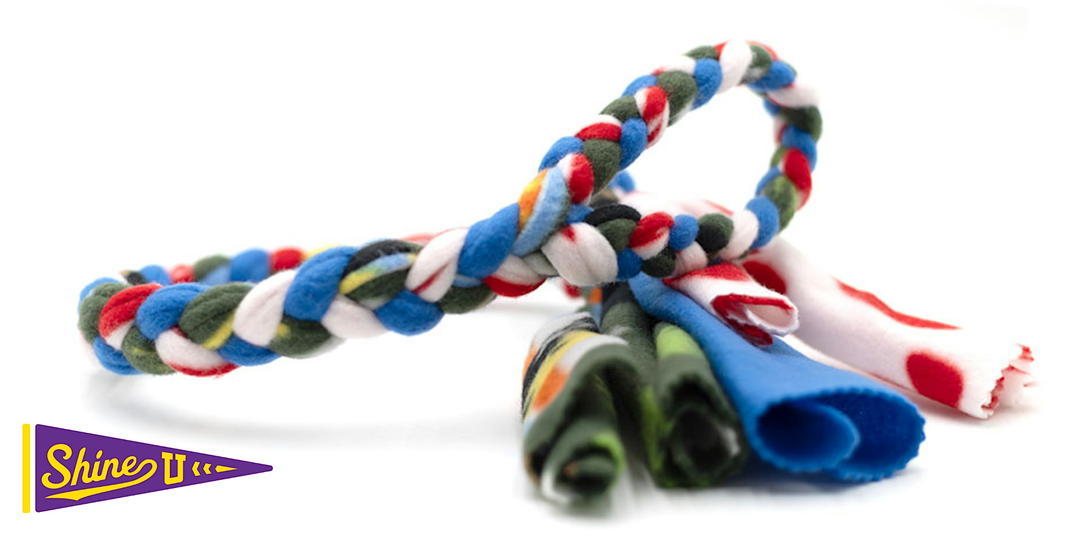 SHINE U: Maker’s Edition – Make Your Own Pet Toys!